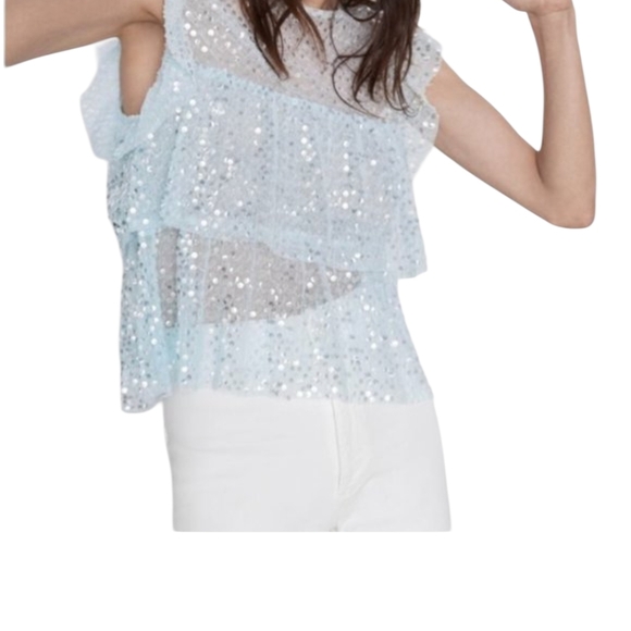 Zara Shimmering Translucent Ruffle Blouse Size M - Picture 4 of 5